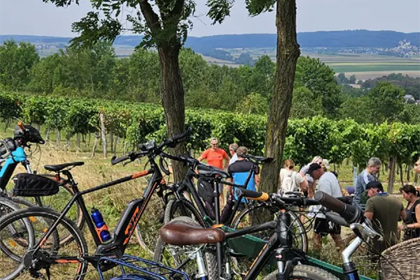 Gruppe von Radfahrern und Radfahrerinnen macht Pause in einem Weinberg