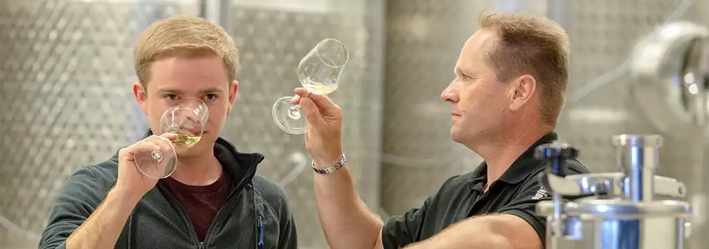 Winzer Heribert Wenzl und Heribert Wenzl Jun. bei der Verkostung Grüner Veltliner im Weinkeller